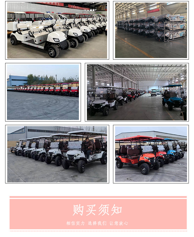 2-Seater Electric Sightseeing Car Golf Car Scenic Spot Tourist B&B Reception Beach Off-Road Scooter