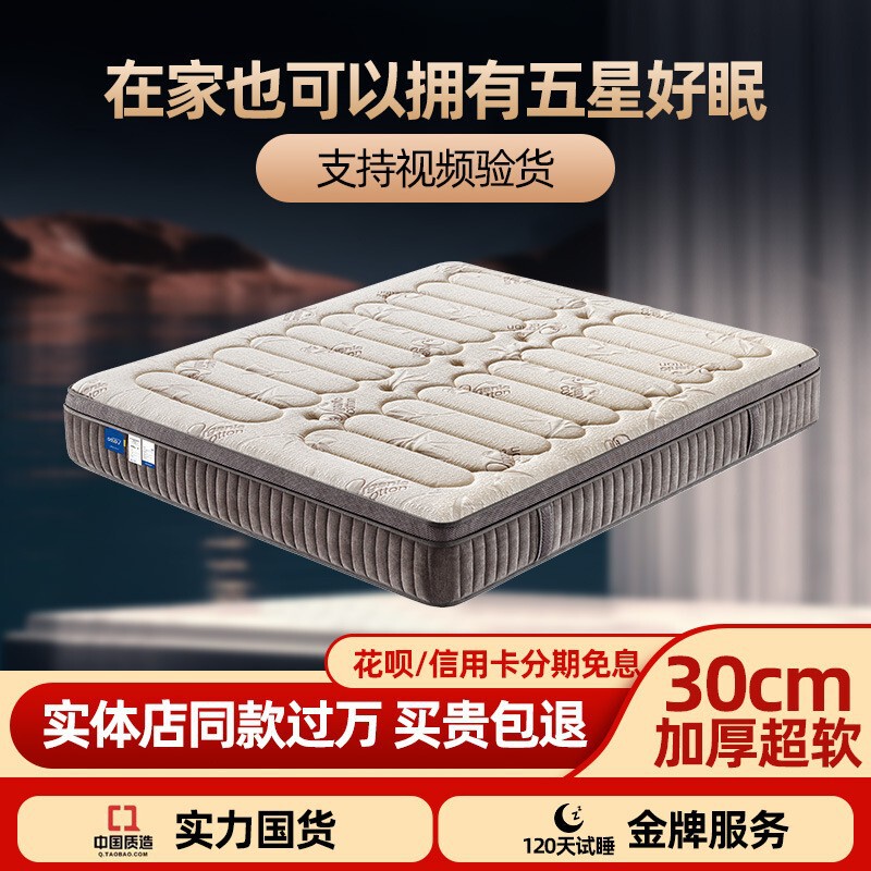 Latex Thickened Soft and Hard Double-Sided Mattress 250mm Hotel Home Use Spine Protection