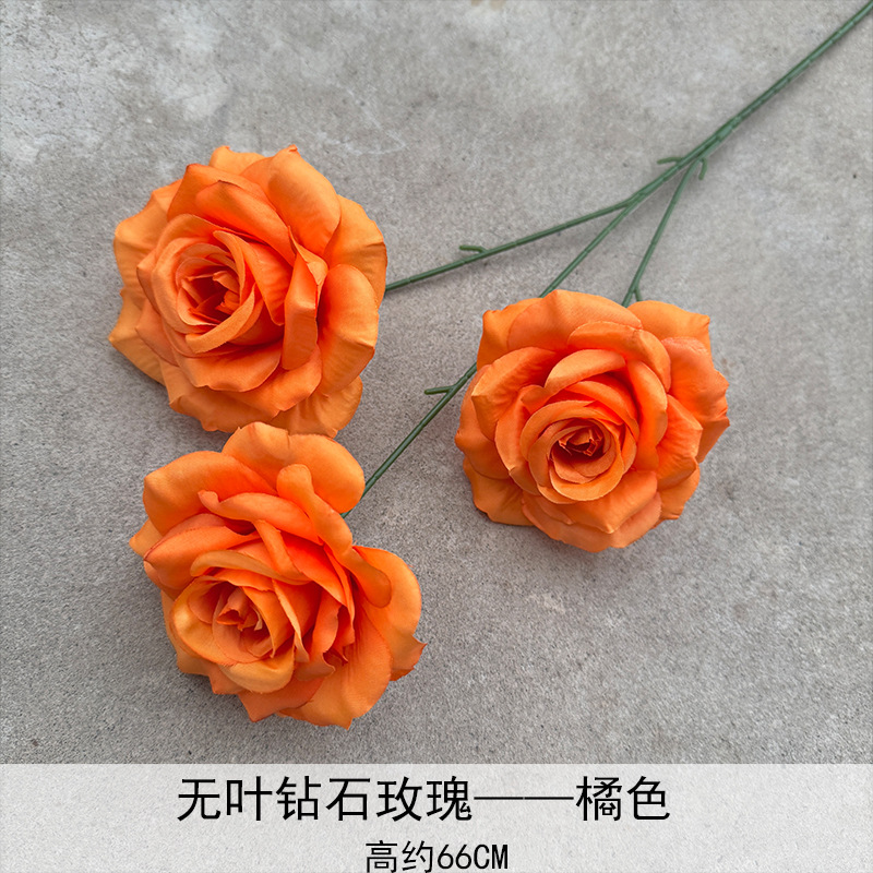 Rosa de diamante naranja