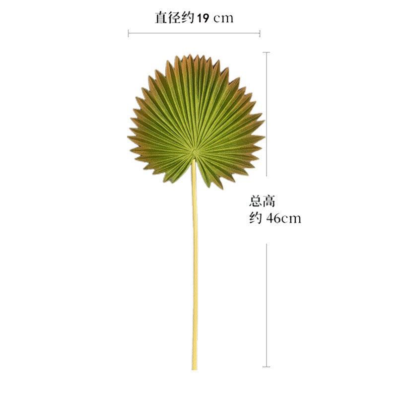 큰 노란색 뾰족한 야자 잎