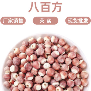 �͌���؛500g��؛���l10���͌��͌����͌���ɢ�b�͌��t��޲�ײ�
