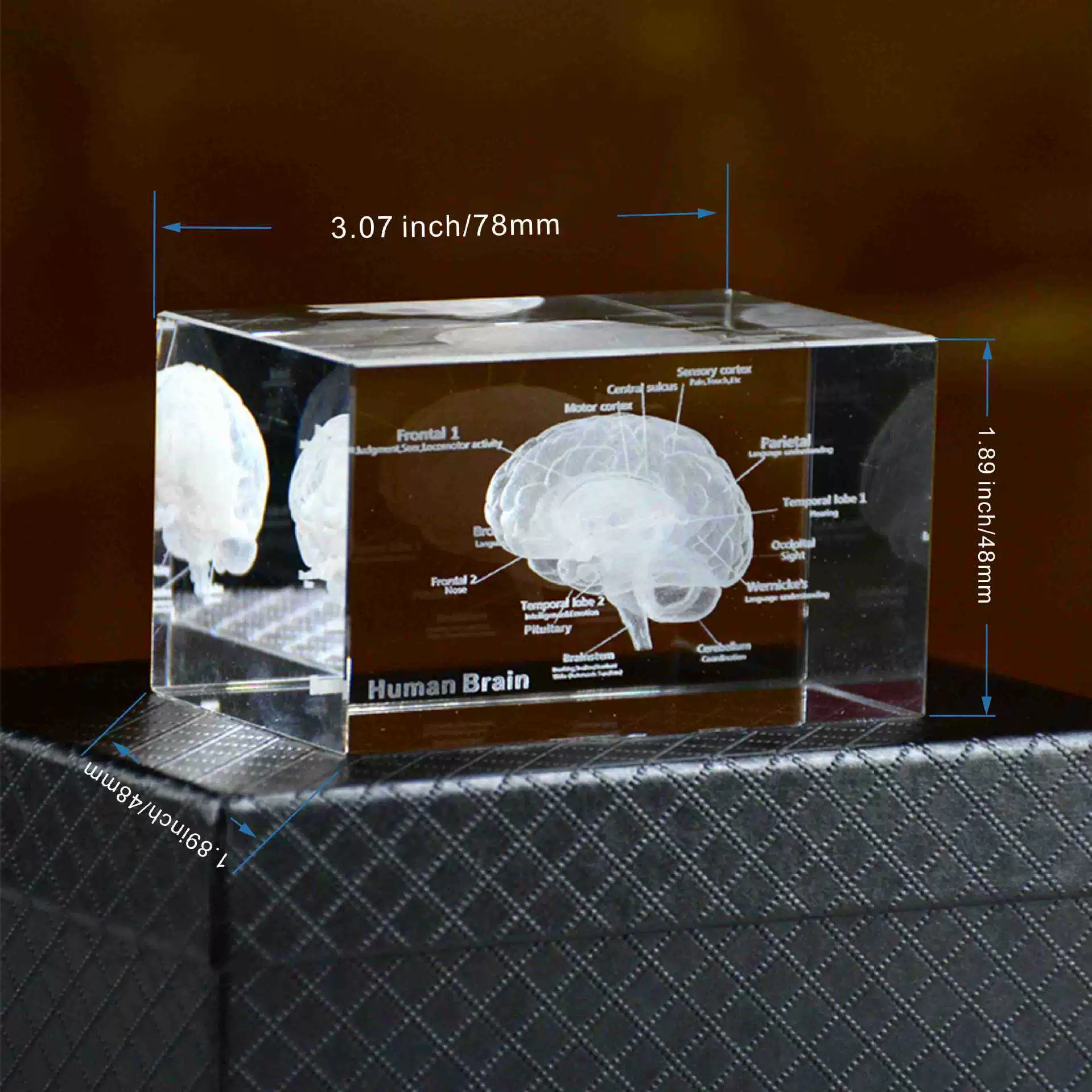 Сердце, минифигура, образец медицины, 3D, анатомия