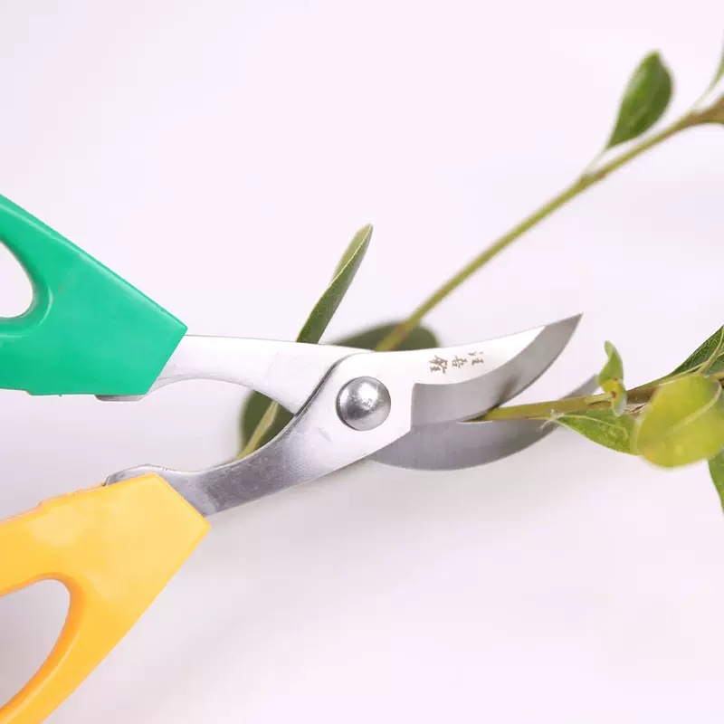 Wang Wubro tijeras de poda de ramas de carne larga de mango largo jardinería tijeras de poda de flores tijeras de brotes de ramas tijeras de hojas de maceta herramientas de bonsai