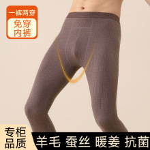 羊毛蚕丝加厚秋裤男士高腰鸟巢打底裤加绒毛裤免穿内裤高弹保暖裤