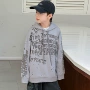 连帽新款春秋款男孩卫衣