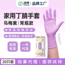 Titanfine添赞食品级一次性丁腈手套20只乌梅紫短款厨房防油防水