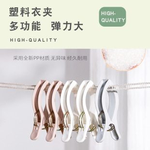 �Ӻ����A��̖�A�������Ӵ�A�ӷ��L�̶��·�����С�A�ӕ��A