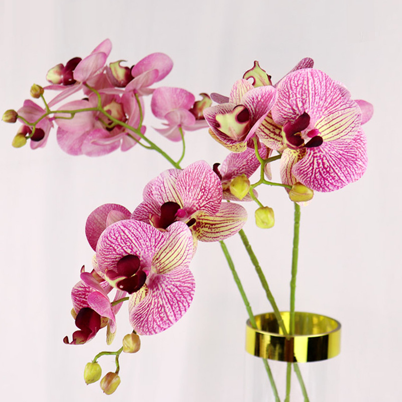 6 cabezas Phalaenopsis 3D-rose patrón rojo RW-3