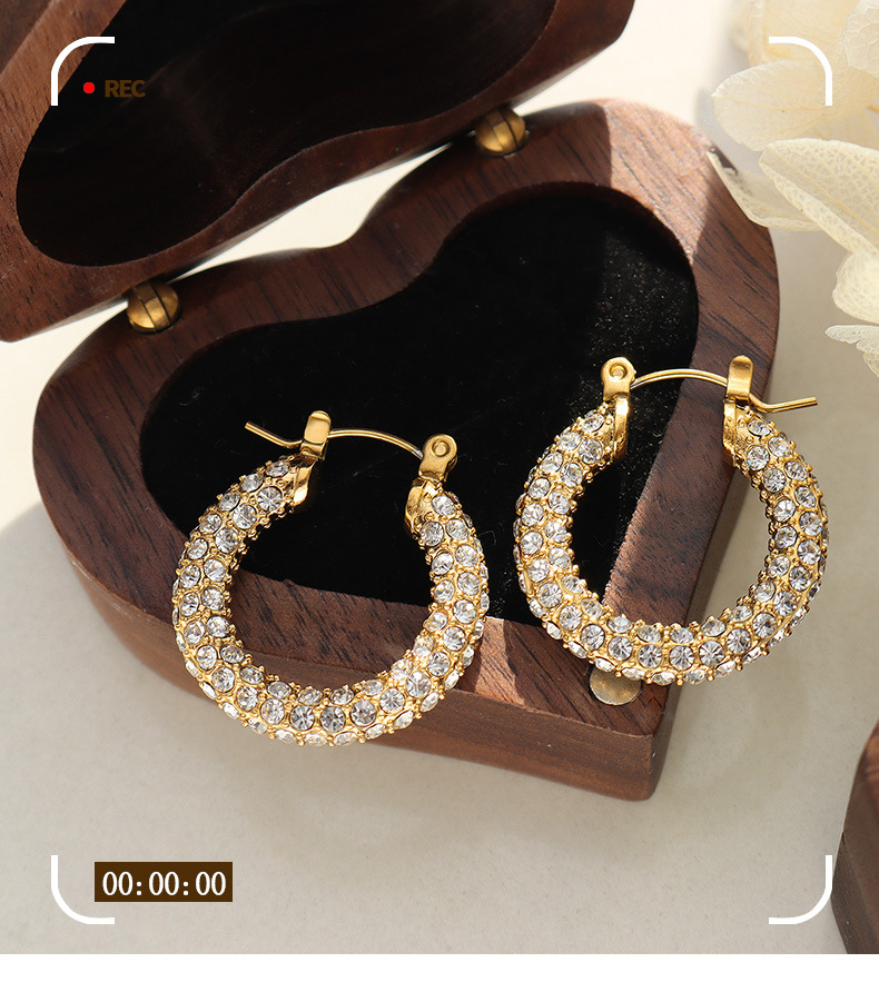 Rétro Rond Acier Au Titane Des Boucles D'oreilles Placage Strass Boucles D'oreilles En Acier Inoxydable 1 Paire display picture 1