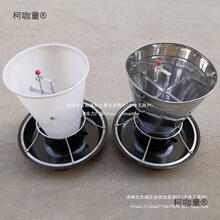 自由采食槽下料器自动补料 保育床猪食槽仔猪料槽 猪用养殖麦太保