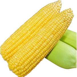 块茎类;苹果;其他水果