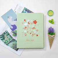 Книга информации формата А4 пластиковая многоярусная вставка пакет прозрачный папка для беременности, хранения торговля документами ученика, хранения тестовых материалов