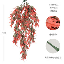 ����Gֲܛ�z�۲˲ݱڒ��ٗlܛ�bֲ��쾰�ҾӾƵ��c����b�