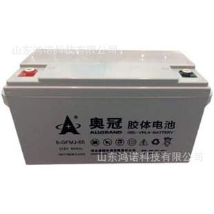 �W����늳�6-GFMJ-65 12V65AH ֱ���� EPS/UPS�Դ ͨӍ��վ ����