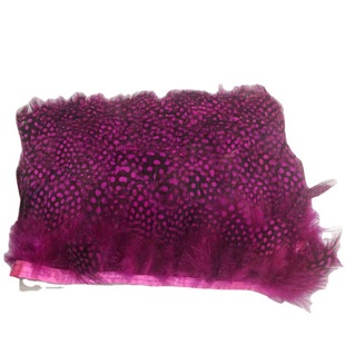 �����o�ϏS��ֱ�N�����u���c��ëõ�tɫ��ɫ