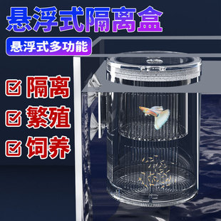 Fish Tank Isolation Box Multifunctional Suspension Hatching Box Peacock Fry Small Fish Juvenile Acrylic Breeding and Feeding Box