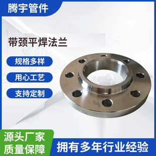 316L���iƽ�����m CL150 CL300 SO-RF AMSE B16.5 ���P����˷��m