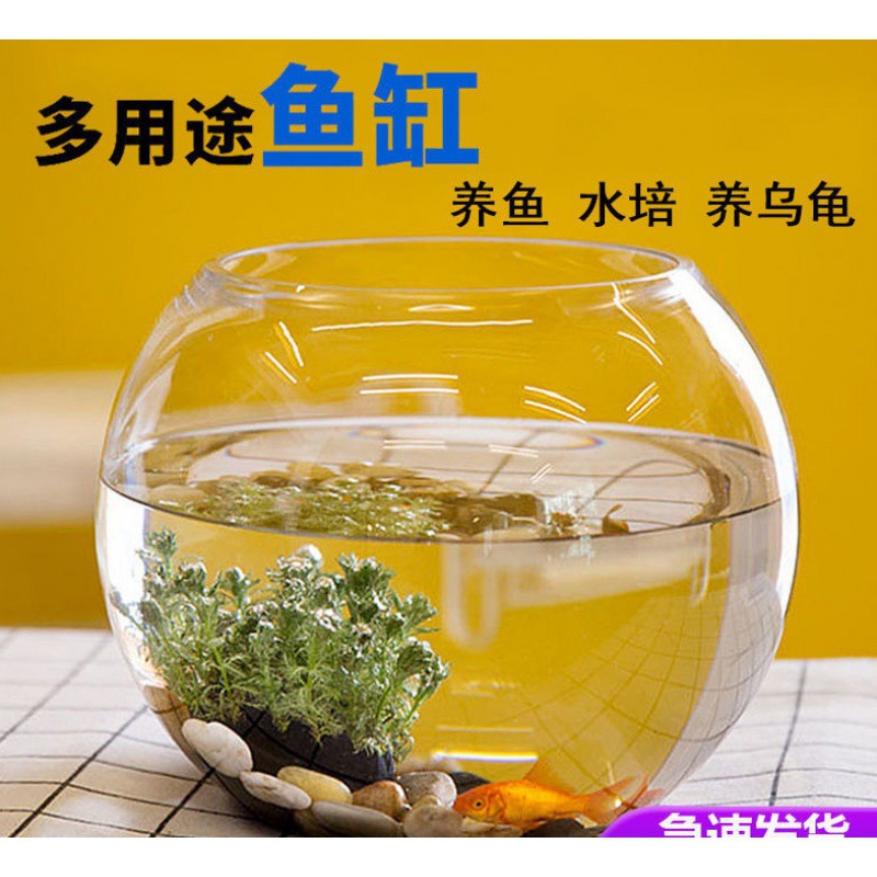 鱼缸桌面鱼缸透明玻璃客厅家用圆球小型免换水懒人办公桌创意缸