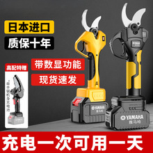 �M�����R��늄Ӽ������ʽ�@����֦�����늼���늼��Ӽ�֦����