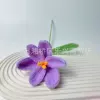 Open Tulip Purple
