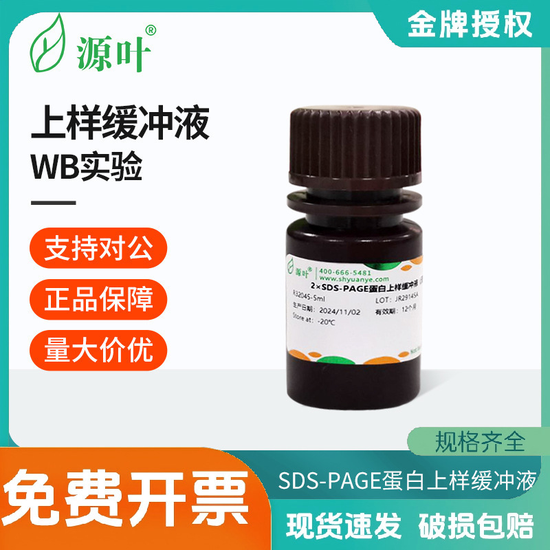 源叶蛋白上样缓冲液SDS-PAGE/非变性/TrisTricine-SDS-PAGE缓冲液