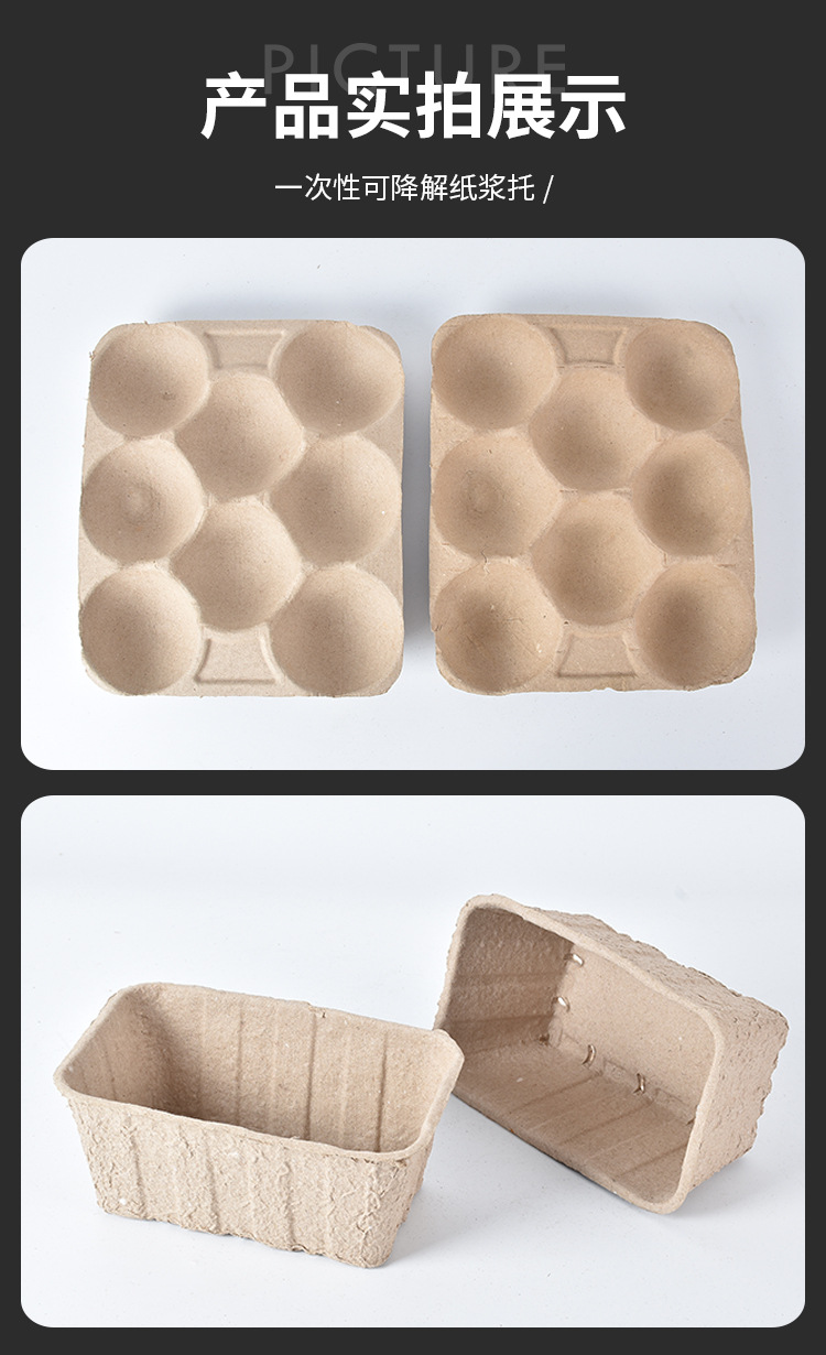 13.16果蔬纸浆托 (10).jpg