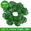36 Big Leaf Color Printing Grape Leaf (12 packs of 12 pieces)