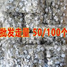 ���ƿ�led�~�����������bՇ��ʟ��lС�����[�ؔ��l��������l