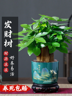 �����Ի����k���҃�ֲ����B������辰