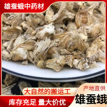 新货无硫雄蚕蛾中药材雄蚕蛾泡酒料男用产地货源雄蚕蛾粉批发零售