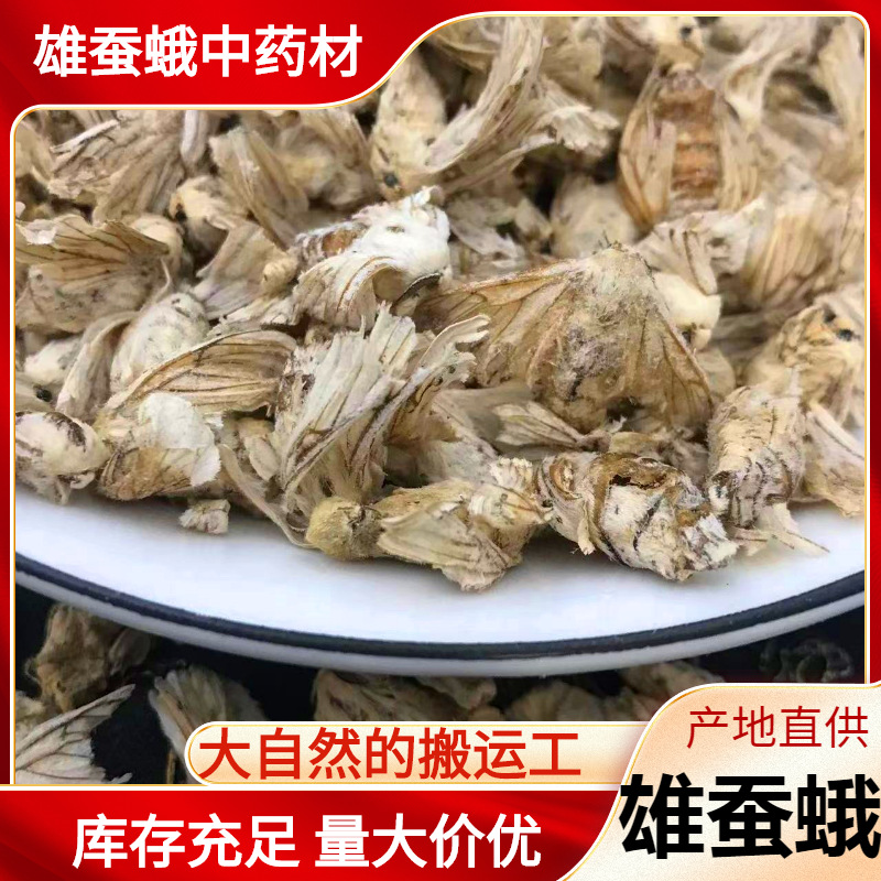 新货无硫雄蚕蛾中药材雄蚕蛾泡酒料男用产地货源雄蚕蛾粉批发零售