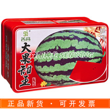 善高大果甜王西瓜种子早熟短椭圆形抗病高产高糖花皮西瓜早佳美都