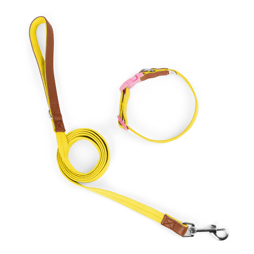 Amazon cross-border pet collar anti-desprendimiento collar conjunto de tracción perro collar perro de entrenamiento perro pequeño y mediano