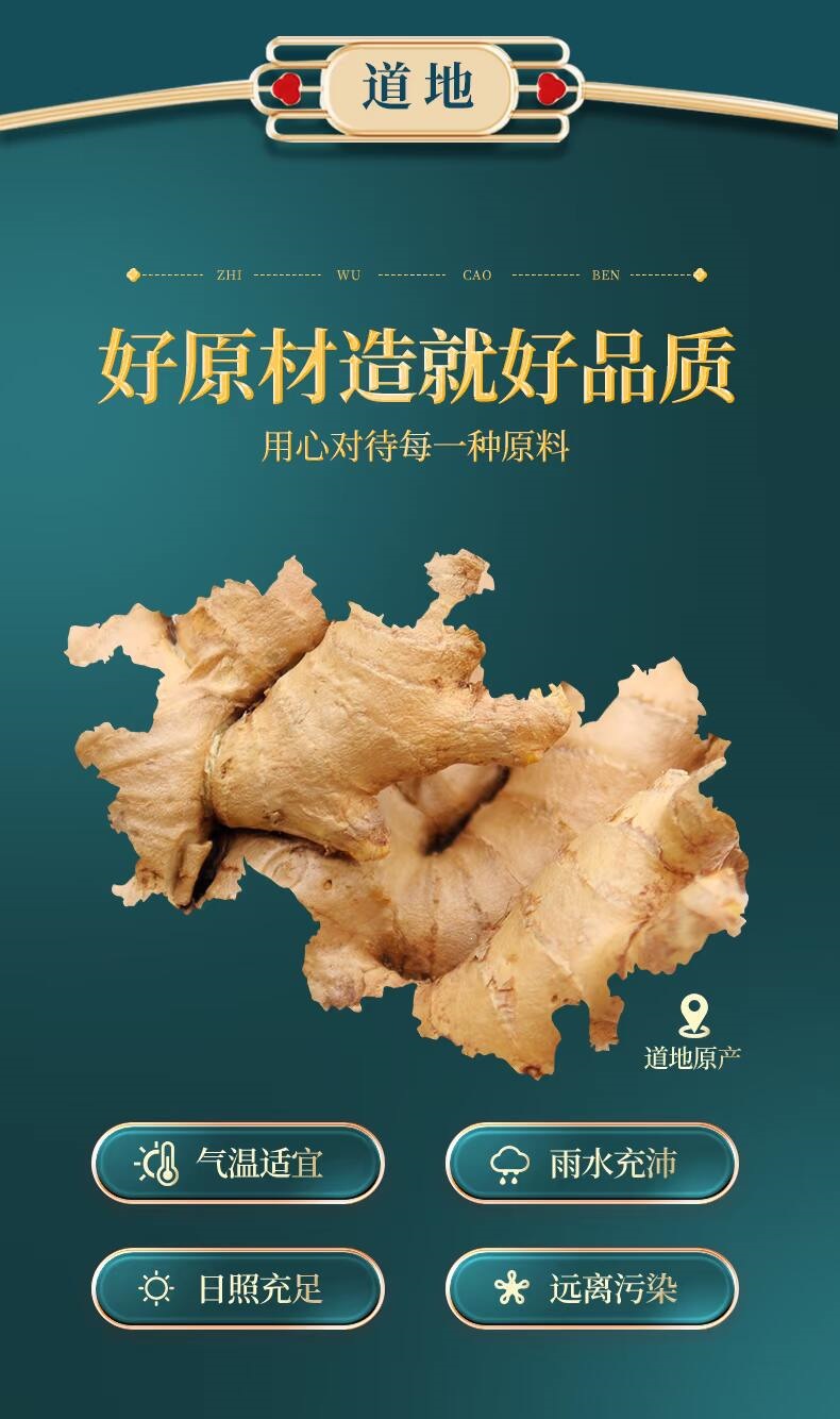 Dried Ginger Slices Gan Jiang 5g Loose Chinese Herb Zingiber officinale for Warming Ginger Tea and Cooking quality and texture