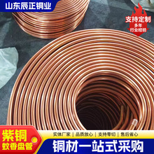 TP2���~����P�� ���{ܛ�P�ܱ����������~�� C1220���~����P��