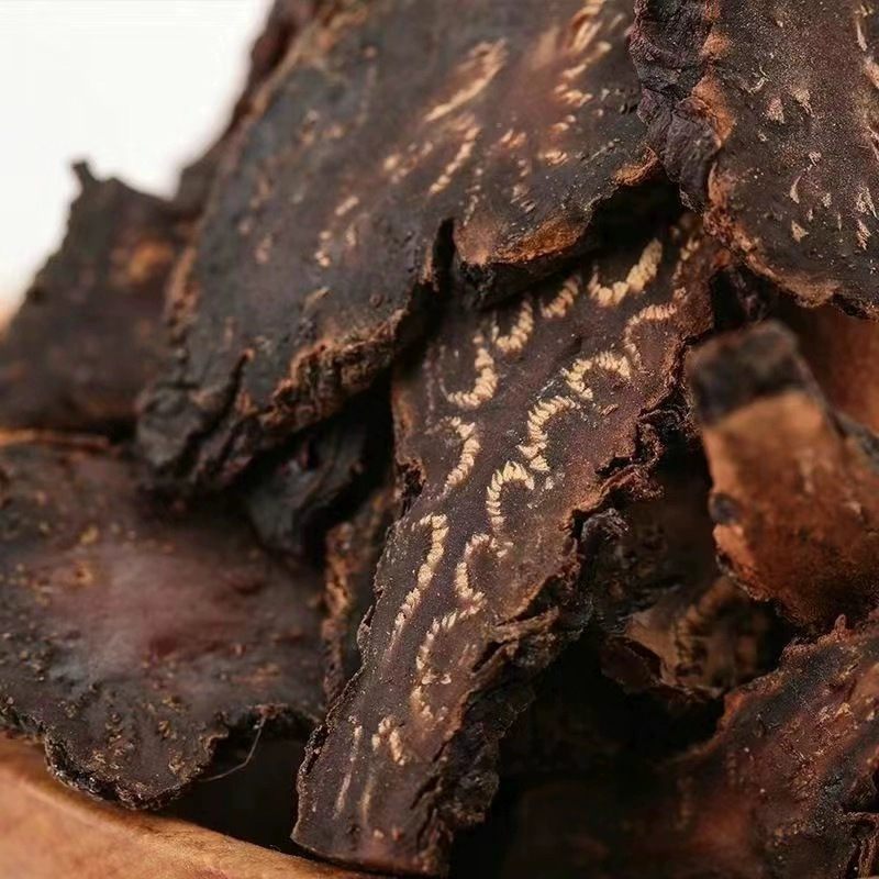 Cistanche Slices Rou Cong Rong Dried Herb 500g for Decoction and Soup specifications
