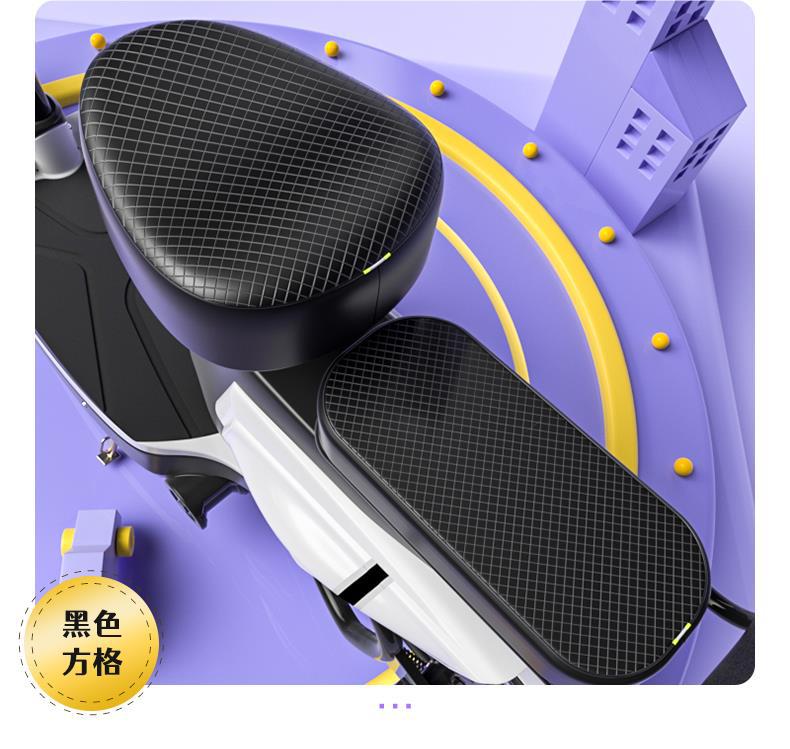 Electric Vehicle Seat Cover, Waterproof and Sunproof, Suitable for All Seasons, Aimaadi Battery Bicycle Seat Cover, Heat Insulation Cover