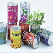 种植长花栽培草娃娃马口铁罐易拉罐花卉魔豆种植迷你植物 2元盆栽