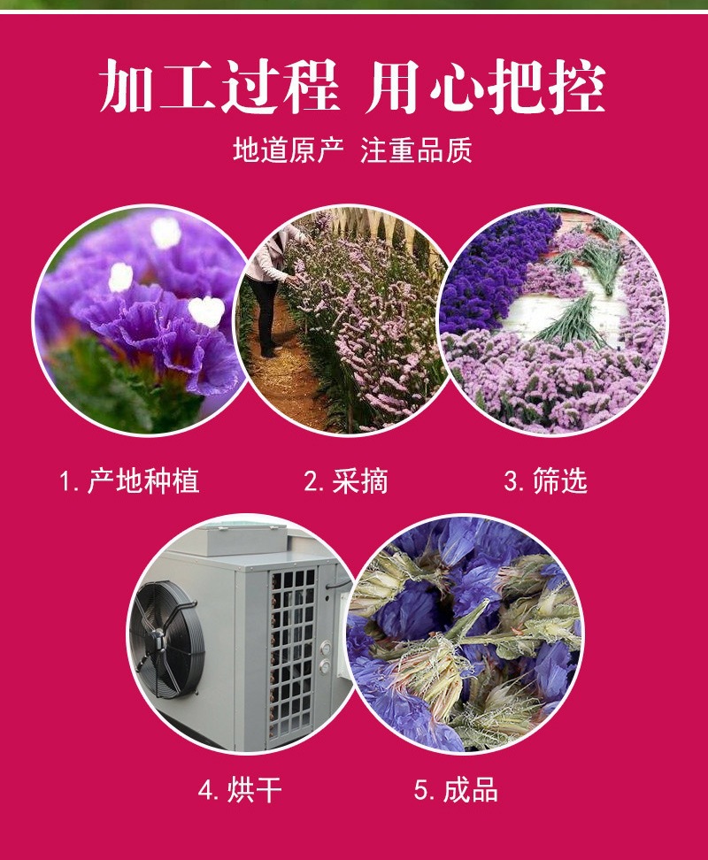 Dried Forget-Me-Not Flowers Wu Wang Wo 500g Loose Herbal Tea Blue Edible Botanicals specifications