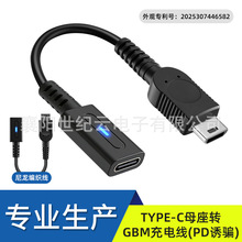 ���Sֱ�NƷ�|  TYPE-Cĸ���DGBM�Α�C��늾���ɫ10cm