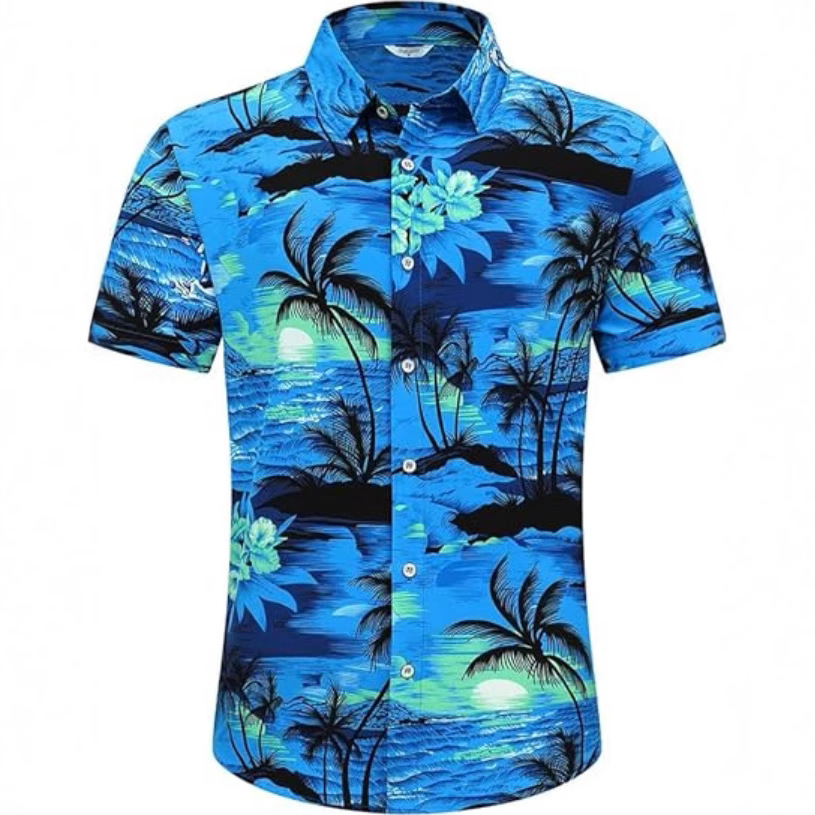 Cross-Border Aliexpress Amazon European and American Summer Men's Beach Shirts Printed Hawaiian Short-Sleeved Floral Shirts for Boys