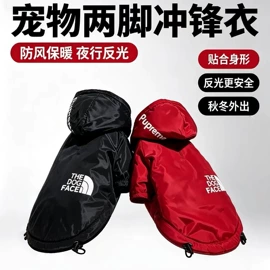 狗狗服装;宠物绝育服/生理裤;宠物围巾