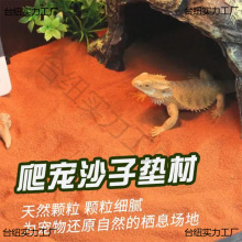 �����}ɳ����ɰ�،m�������x�쾰֩��ϐ����B��|������