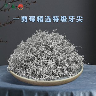 ݮ����ѿ���ҽ�ݮ���ؼ����ѿ���ʩ�ٲ����ں�����호��郞���~