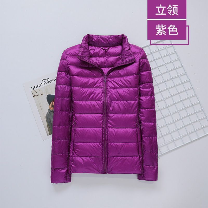 퍼플(스탠드 칼라)