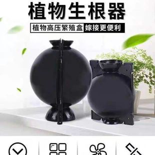 Plant High-Pressure Grafting Propagation Box for Cutting Fruit Tree Branches, Seedling Nursery, Flower and Tree Grafting and Transplanting Tool for Home Use, Rose