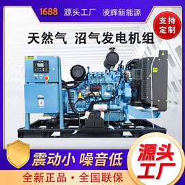 柴油发电机组;燃气发电机组