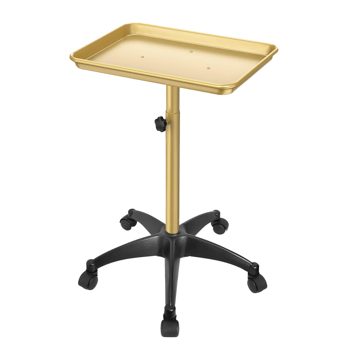 C1-블랙 골드 업그레이드 모델