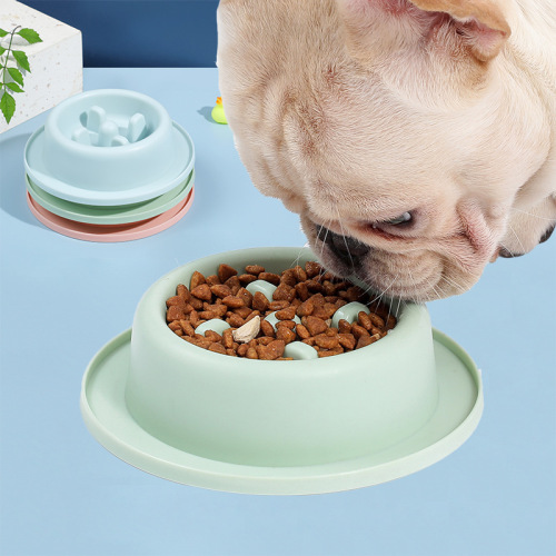 Amazon's new pet slow food bowl, anti-choking bowl, cat bowl, dog bowl, slow food bowl, pet feeder manufacturer wholesale
