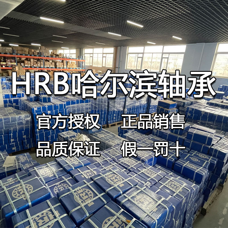 HRB哈尔滨轴承6203 6204 6205-2Z/2RZ深沟球电机水泵轴承原装正品